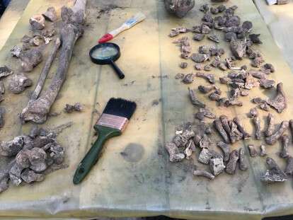 В Днепре обнаружены артефакты древнего поселения Старая Самарь