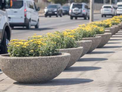 В Днепре ко Дню города высадят более 7 тысяч цветов