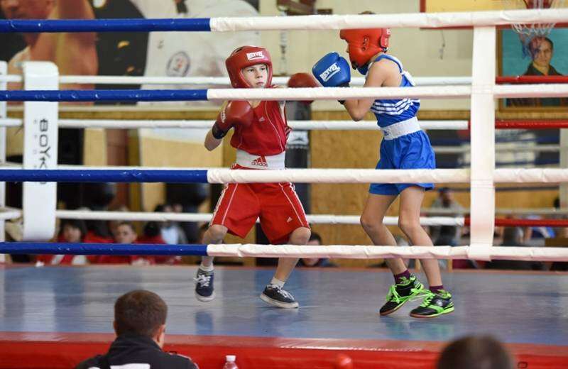 В Каменском проходит всеукраинский турнир по боксу