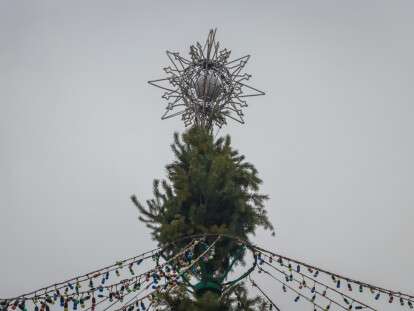 В Днепре установили елку в центральном парке Днепра: фото