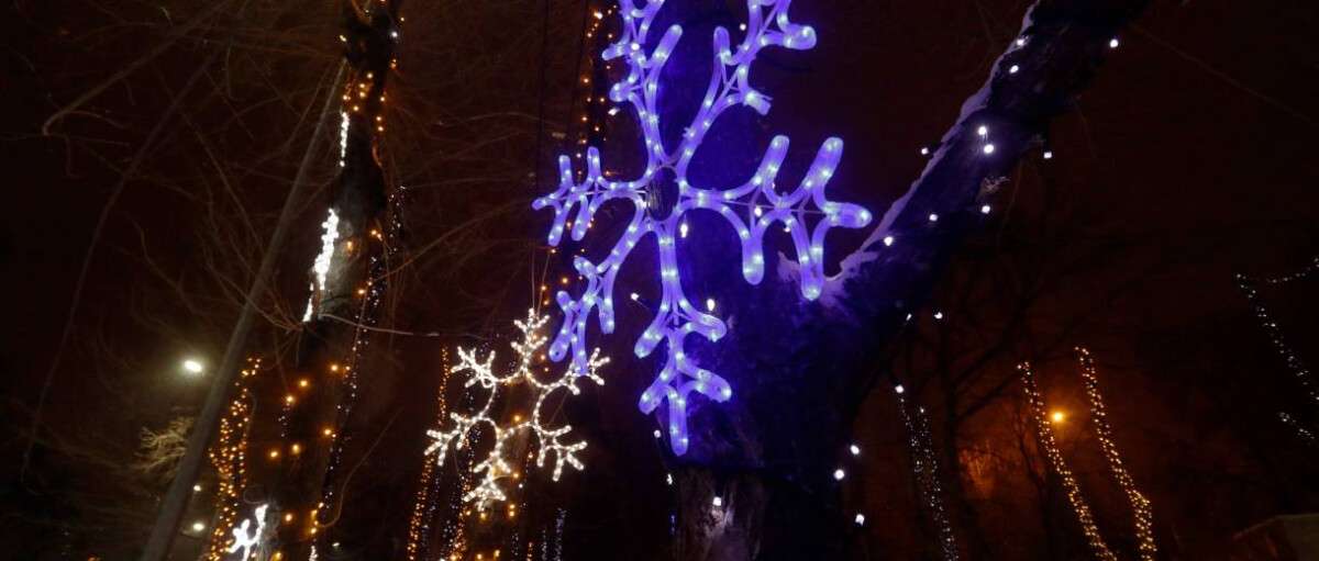 В днепровском паре «Зеленый Гай» открыли новогоднюю елку и зимнюю аллею цветов: фото