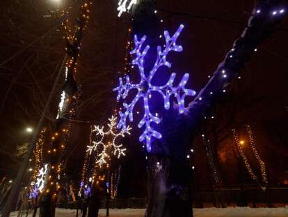 В днепровском паре «Зеленый Гай» открыли новогоднюю елку и зимнюю аллею цветов: фото
