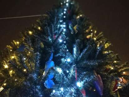 В Днепре показали, как выглядит новогодняя аллея на Левобережном-3: фото