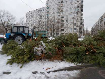 В Днепре новогодние елки перерабатывают на брикеты для отопления: фото