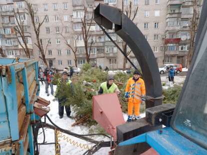 В Днепре новогодние елки перерабатывают на брикеты для отопления: фото