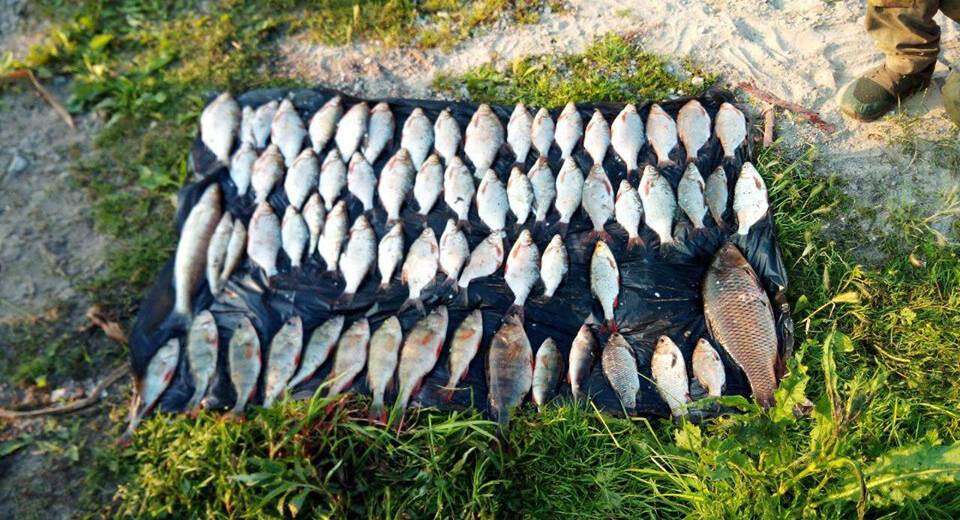 У Дніпрі вилучили риби на бiльш нiж 6 тисяч гривень