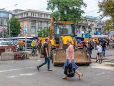 Під час реконструкції вулиці Короленка в Дніпрі висадять 70 нових дерев