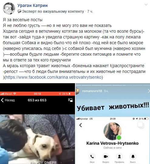Женщина из Днепра травит бездомных собак и хвастается этим в сети (ВИДЕО)