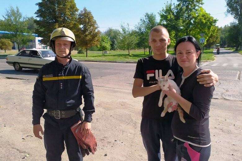 На Днепропетровщине спасли маленького котенка