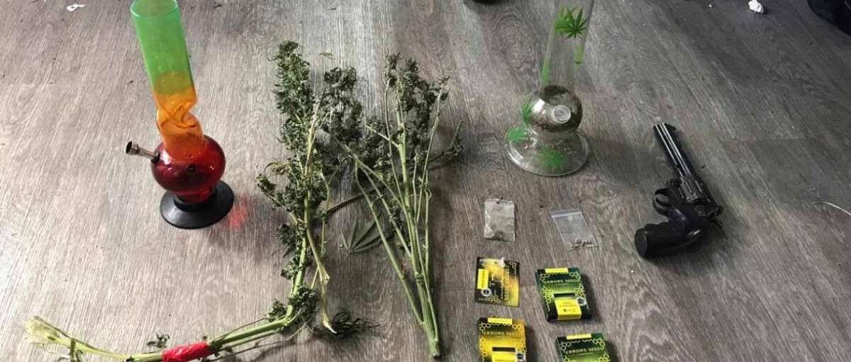 На Дніпропетровщині поліція вилучила у чоловіка марихуани на 250 тис. гривень