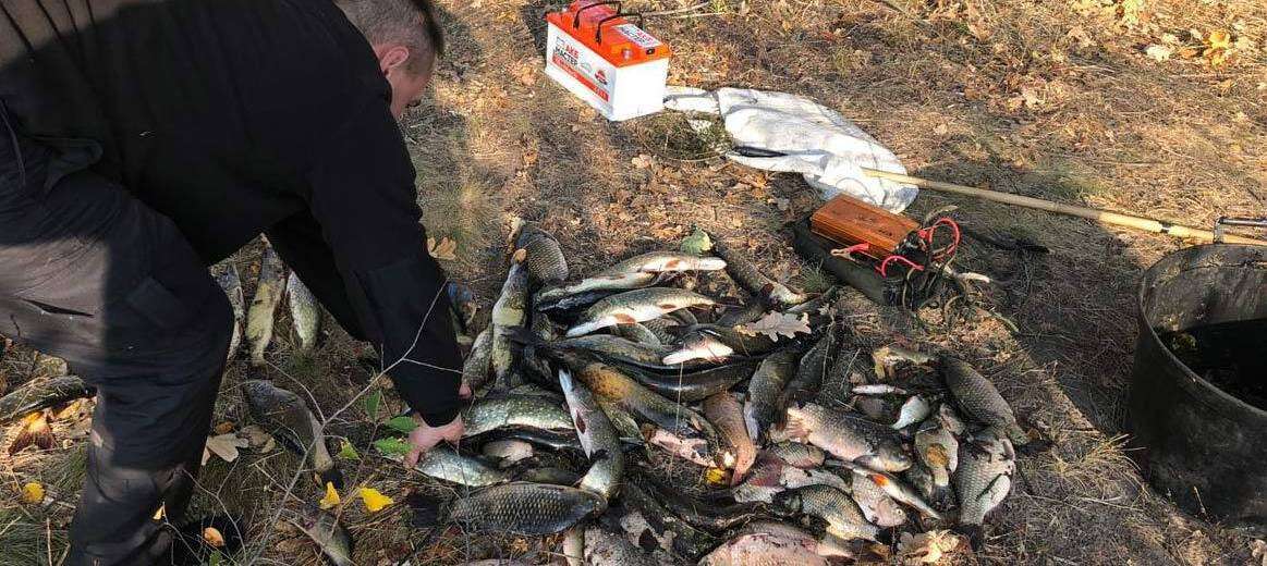 Поліція затримала браконьєрів, які за допомогою електролову виловили понад 50 кг риби