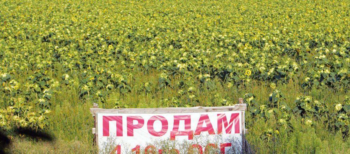 73% украинцев не поддерживает продажу земли — опрос