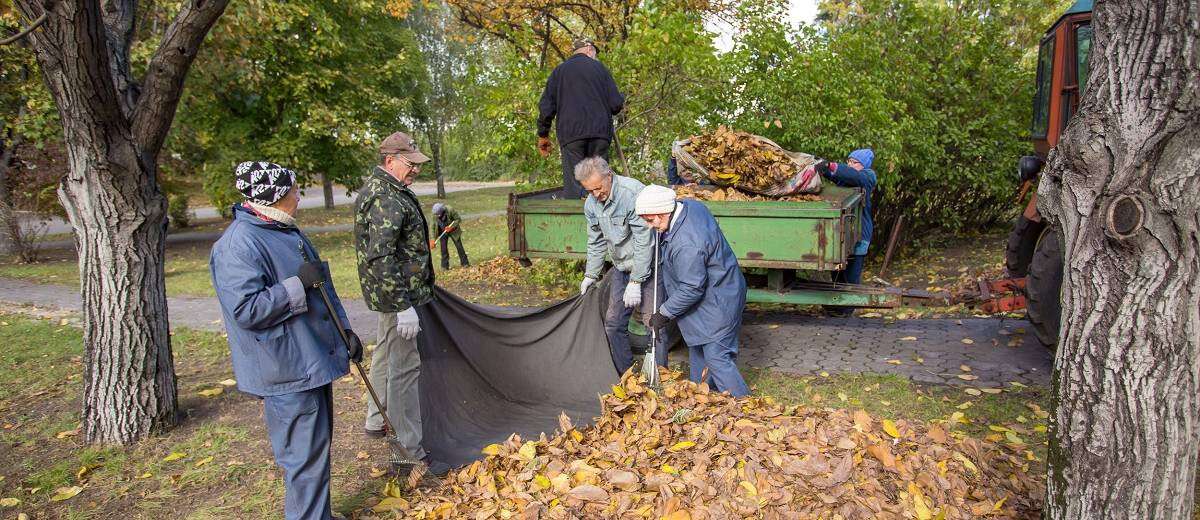 Уборка листвы в Каменском на контроле у мэра