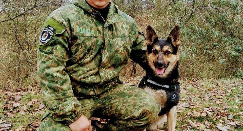 На Дніпропетровщині поліцейській собака розшукав зниклу дівчинку