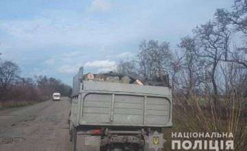 На Днепропетровщине задержали ЗИЛ с 3 тоннами незаконно срубленной древесины