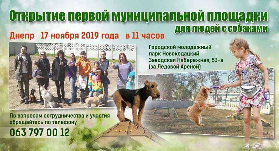В Днепре открывается первая муниципальная площадка для собак