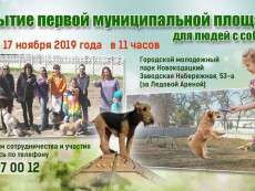 В Днепре открывается первая муниципальная площадка для собак