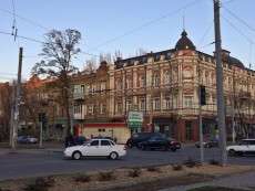У центрі Дніпра активно відбувається озеленення (ФОТО)