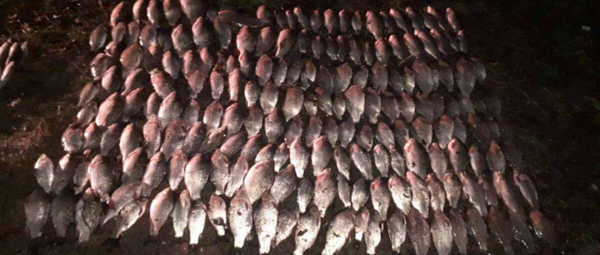 У Дніпрі виявили браконьєрів,які виловили риби майже на 100500 грн.