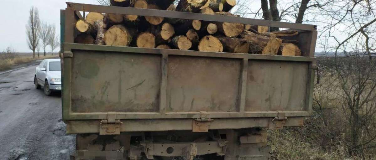 З Дніпра намагалися незаконно вивезти 14 кубів деревини