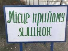 У Дніпрі визначено пункти прийому новорічних ялинок