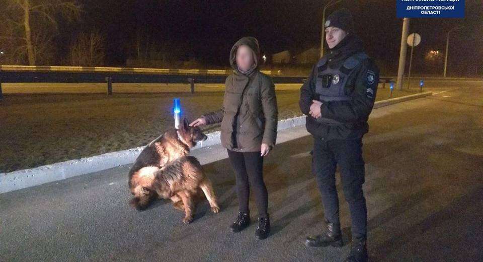 Дніпровські поліцейські знайшли вівчарок-втікачів