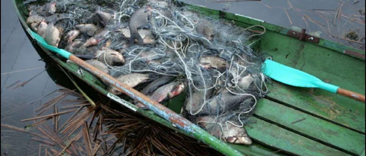 На Днепропетровщине незаконно выловили рыбы на 900 тысяч гривен