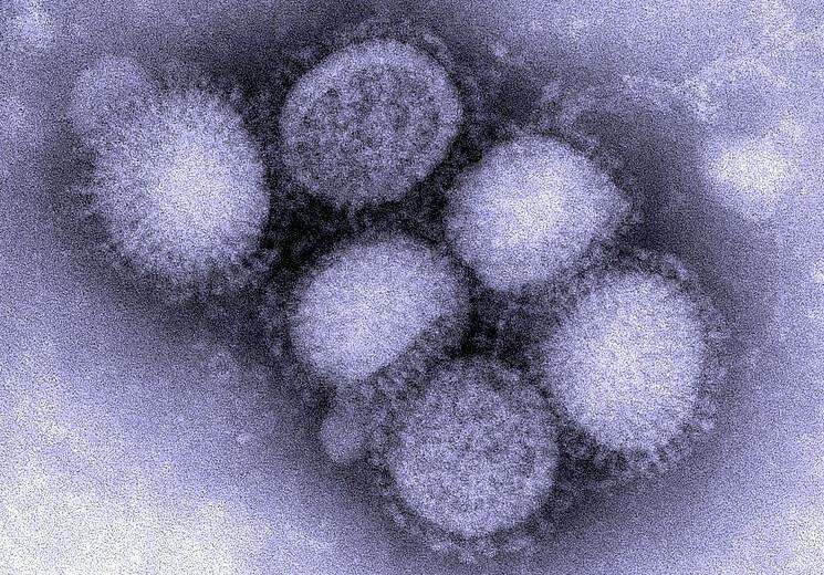 В Днепре умер от гриппа 2-летний малыш