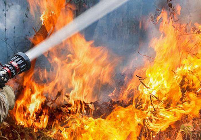 На Днепропетровщине сгорел спорт-бар (ВИДЕО)