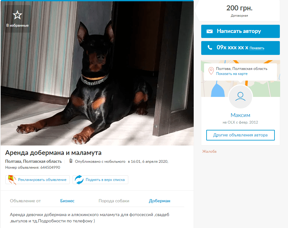 В Украине собак сдают в аренду