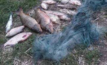 В Днепре браконьеры незаконно выловили рыбы на 5 тысяч гривен