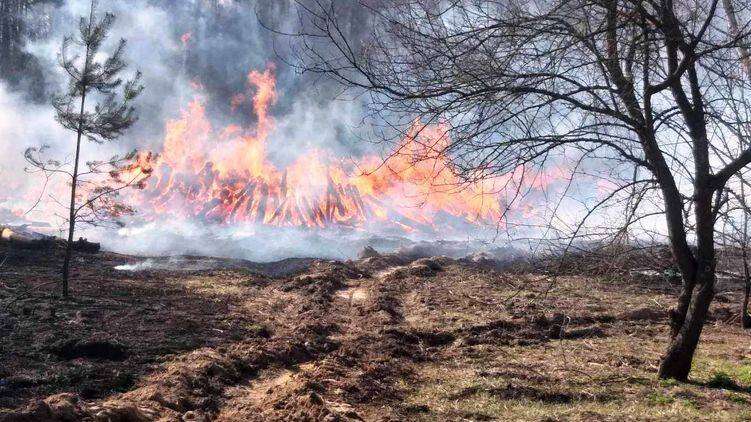 Пожарным, спустя 3 недели, удалось локализовать очаги пожаров в Зоне отчуждения