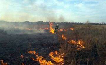На Днепропетровщине за сутки — 4 пожара в экосистемах (ФОТО)