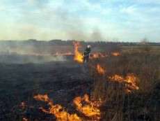 На Днепропетровщине за сутки — 4 пожара в экосистемах (ФОТО)