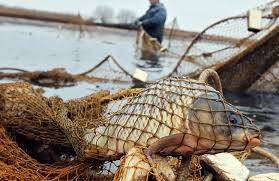 Під Дніпром виявили рибалку-браконьєра: чоловік мішками таскав рибу до себе в авто (ФОТО)