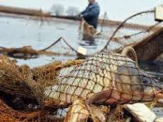 Під Дніпром виявили рибалку-браконьєра: чоловік мішками таскав рибу до себе в авто (ФОТО)