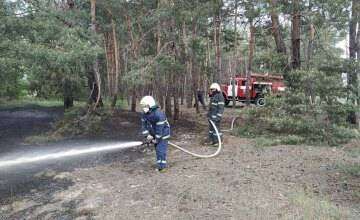 В лесничестве Днепропетровской области горел хвойный лес: пожар тушили 3 часа