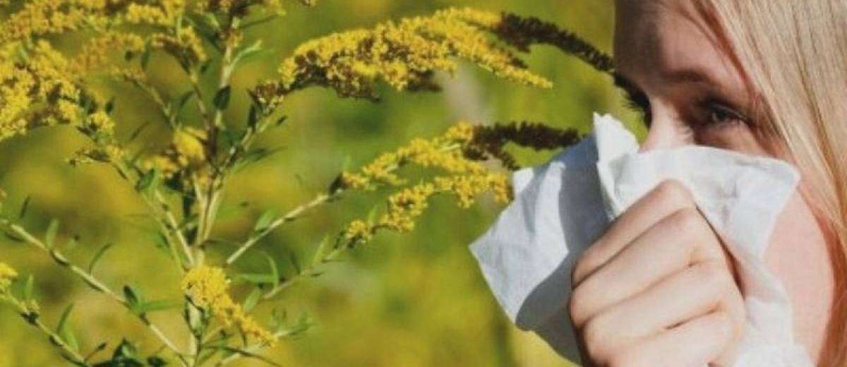 У Дніпрі массово винищують алергенну траву (ВІДЕО)
