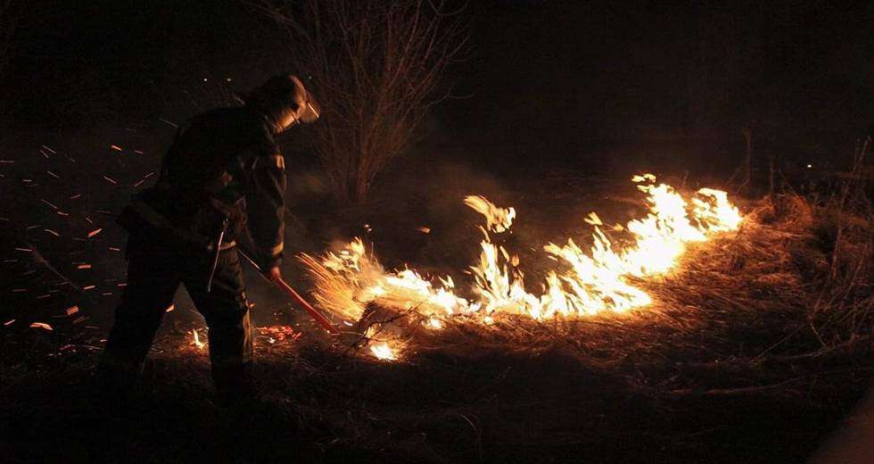 На Днепропетровщине горит экосистема — 25 пожаров за сутки