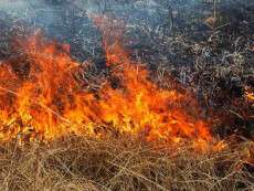 На Днепропетровщине произошло 2 масштабных пожара (ВИДЕО)