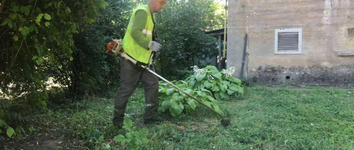 В Новокодакском районе Днепра коммунальщики избавились от опасных аллергенных растений (ВИДЕО)