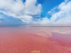 pink13-1024x576-1