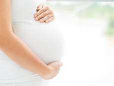 depositphotos_32650373-stock-photo-tender-pregnancy