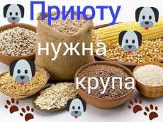 FB_IMG_1618034471069