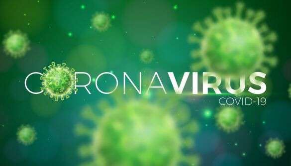 коронавирус 25