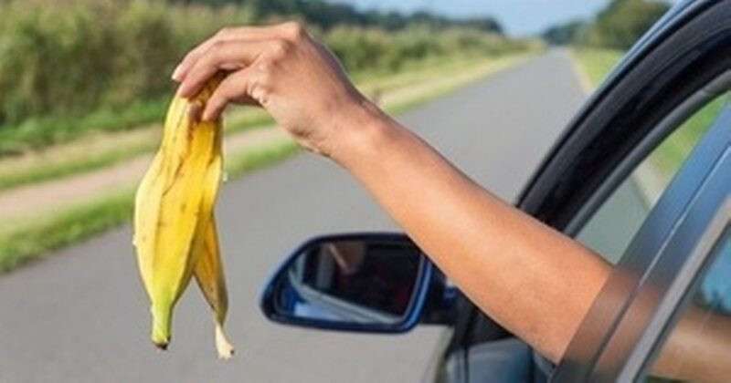 A-woman-throwing-fruit-waste-out-of-car-window-800x420