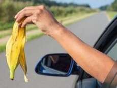 A-woman-throwing-fruit-waste-out-of-car-window-800x420
