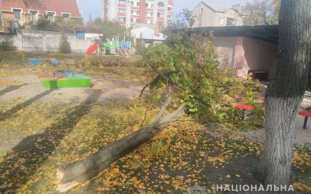 дерево упало