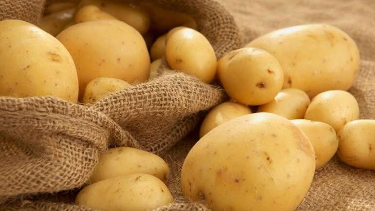 770 картошка картофель еда продукты