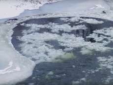 1300 провалились пол лед утонул